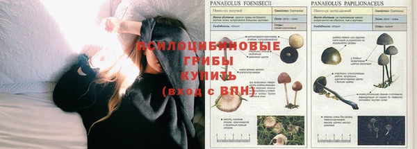 бутик Алексеевка