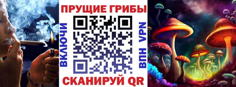 Галлюциногенные грибы Psilocybe  Анжеро-Судженск 